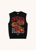 Chicago Bulls Sando